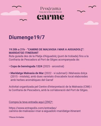 Carme programa 19072026