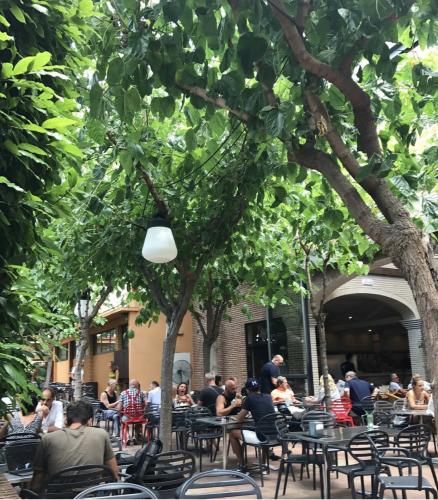 jardi montroig cafe
