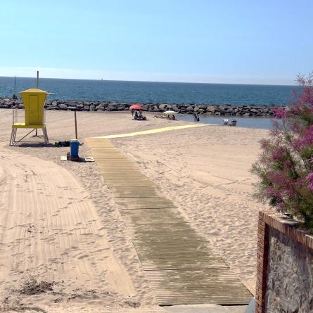 Terramar passeres